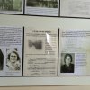 100-летие образования Колыванского района